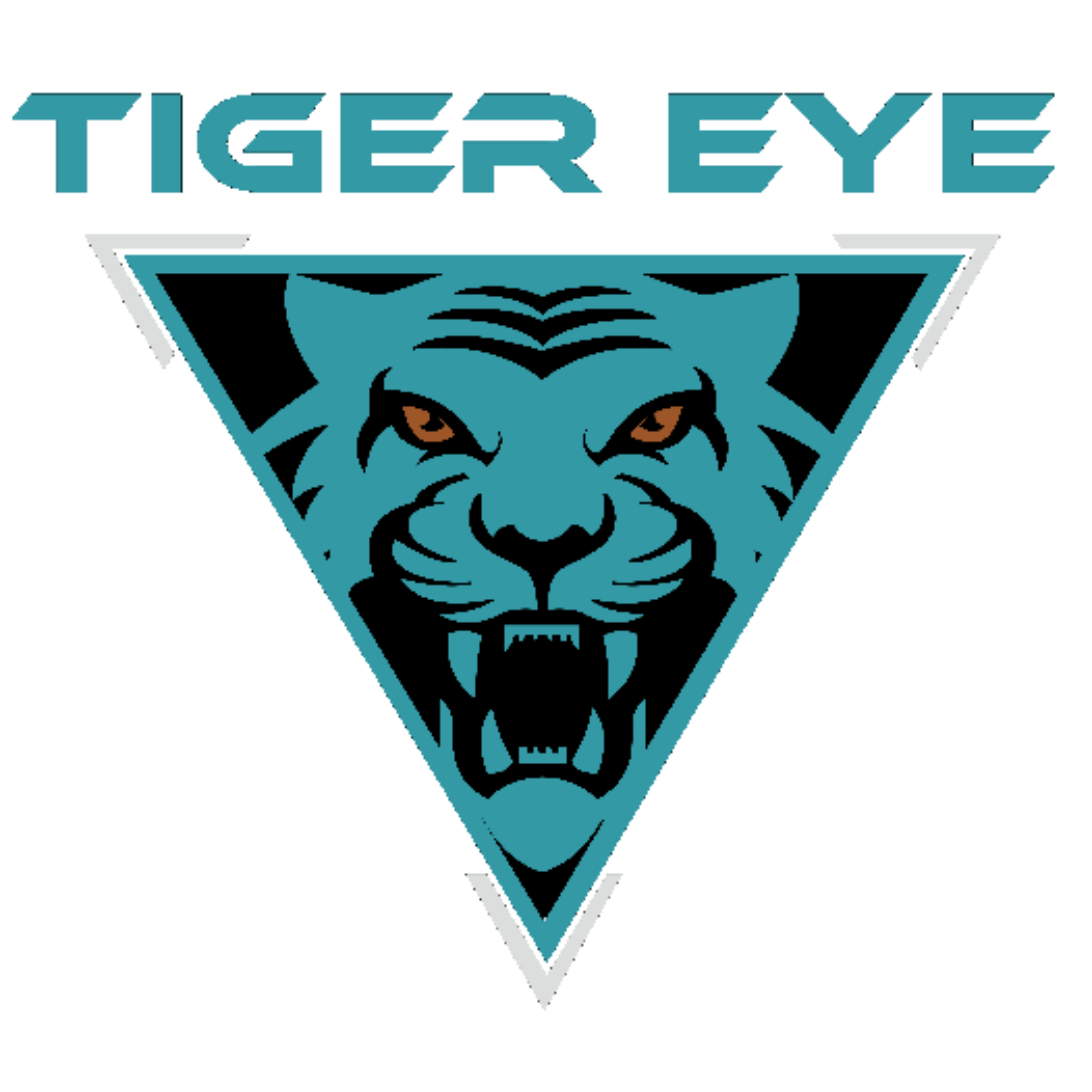 Tiger Eye